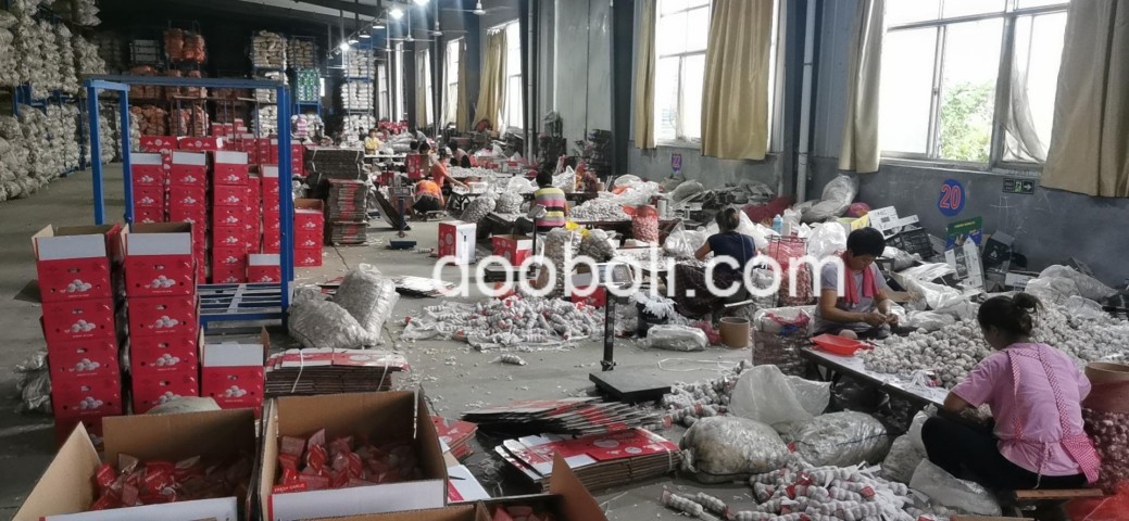中国白蒜制造商大规模 Egestas Purus